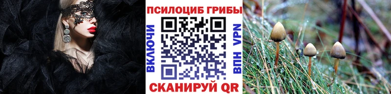 Галлюциногенные грибы мухоморы  Николаевск 