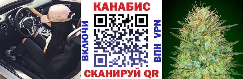 KRAKEN ONION  Николаевск  Каннабис сатива 